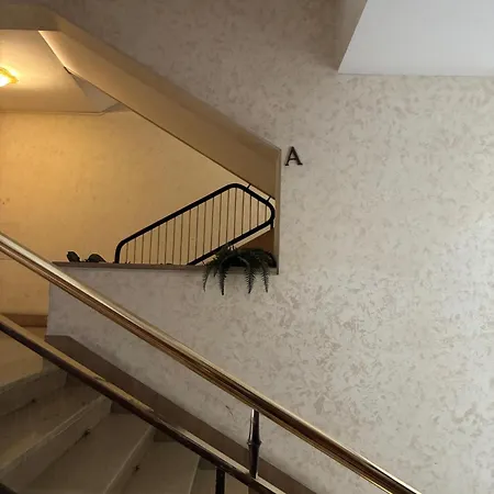 Apartment The Blue Nest By St Peter Basilica *